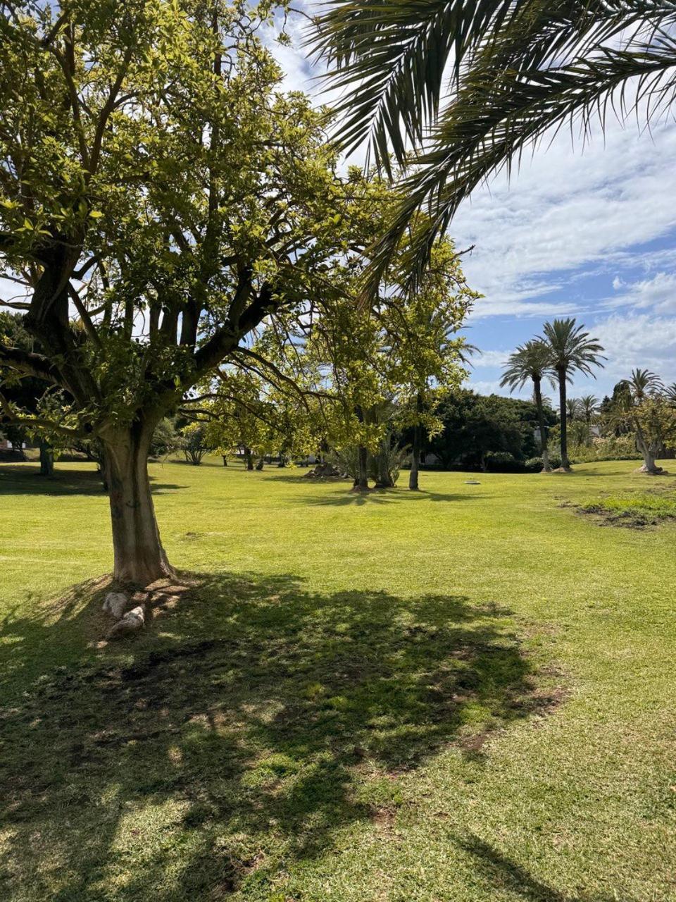 Estudio Con Terraza En Marbella Eksteriør billede